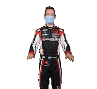 Honda Nestor Sticker by FIA World Touring Car Cup