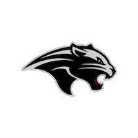 FloridaTechPanthers tech florida panthers florida tech Sticker