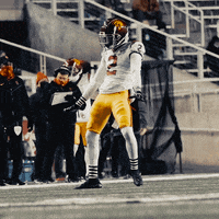 Fight On College Football GIF by BLVD Studios