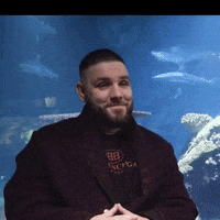 heystephtv smile laugh artist rap GIF