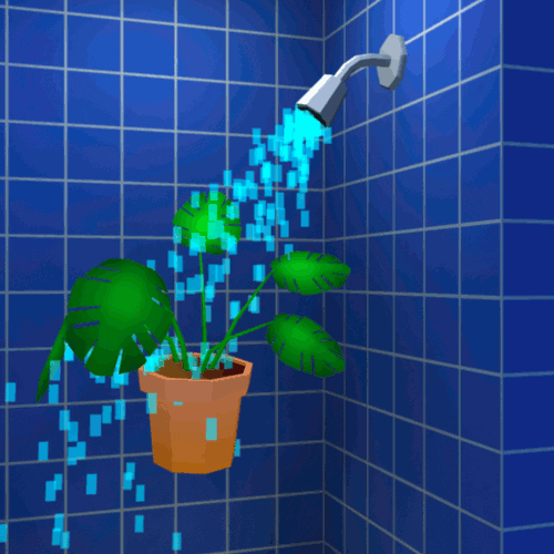 Shower Houseplant GIF