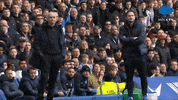 Premier League Celebration GIF by MolaTV