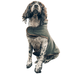 Dogs Life Sticker by Jack Pyke