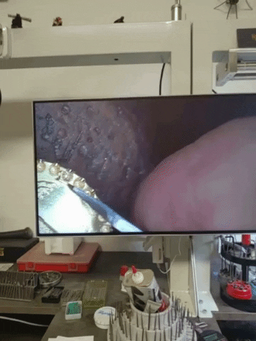 Bling2020 giphygifmaker GIF