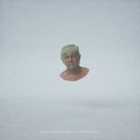 estebandiacono animation trump head president GIF
