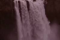 season 2 GIF by Twin Peaks on Showtime