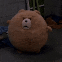 Ted 2 GIF by Respective