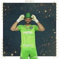 Soccer Futebol GIF by SE Palmeiras