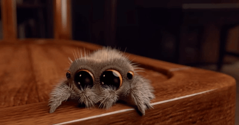 youtube animation GIF