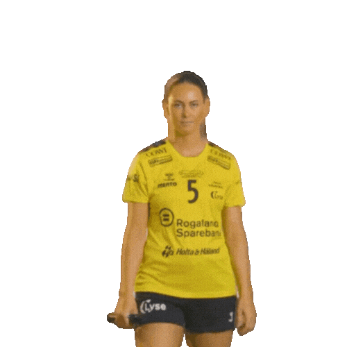 Rema1000Ligaen Sticker by Norsk Topphåndball