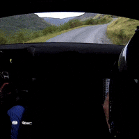 Motorsport Driving GIF by FIA European Rally Championship