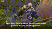 lemur attac GIF
