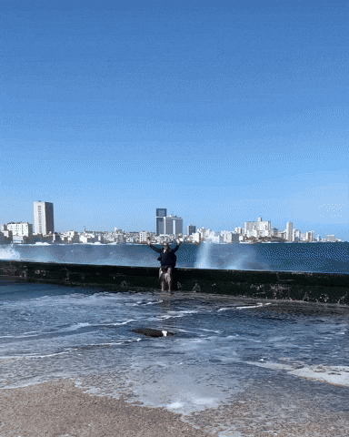 Happy Wave GIF