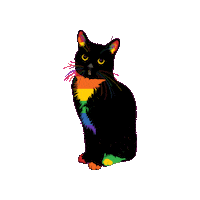 Tuxedo Cat Sticker