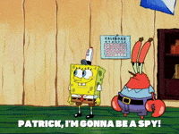 season 5 GIF by SpongeBob SquarePants