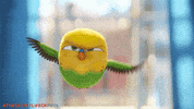 GIF by The Secret Life Of Pets