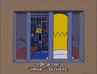 homer simpson GIF