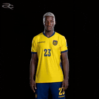 Fifa World Cup Ecuador GIF by Respective