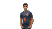 Scream Sticker by Carson-Newman Athletics