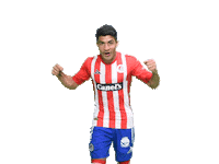 Soccer Goal Sticker by Atlético de San Luis