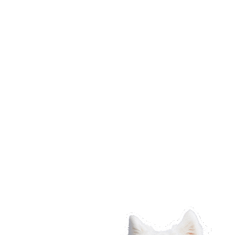 Love Dogs Cute Puppy Sticker by puppytales