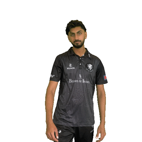 England Cricket Ball Sticker by Somerset County Cricket Club