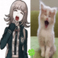 Chiaki GIF