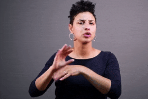 Asl Understanding GIF