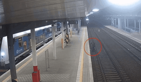 insight1 giphyupload GIF