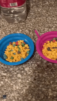California Mother Pranks Children With Frozen Cereal