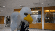Goldeneagles Hotwyngz GIF by St. Joseph's University New York