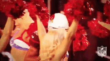 Arizona Cardinals Football GIF by NFL