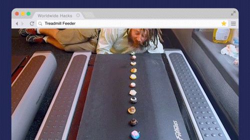 hack my life exercise GIF by truTV