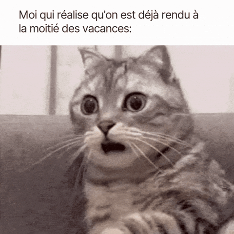 malaikaabevi giphyupload GIF