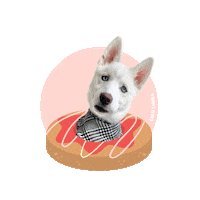 Dog Treats Sticker