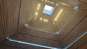 GIF by Oxford Scholastica