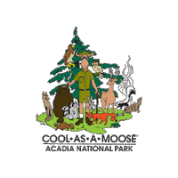 coolasamoose cartoon cool fox bear Sticker