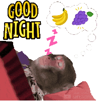 Good Night Dream Sticker