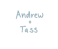 tasssaysmeow ngwedding tasssaysmeow sayngido Sticker