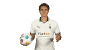Borussia Monchengladbach Ball Sticker by Bundesliga