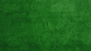 Football Animation GIF by Pioneer Athletics