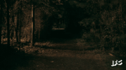 ifc halloween horror scary scared GIF