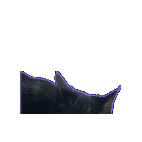 Tired Black Cat Sticker by Rod Kim