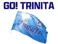 OITATRINITA fight sports football soccer Sticker