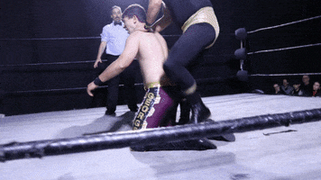 SHWAWrestling aaa submission lucha libre ddt GIF