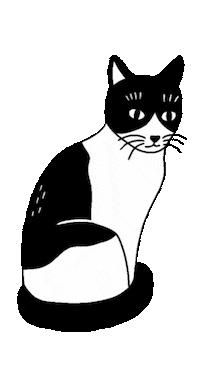 Black Cat Sticker