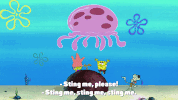 season 10 episode 6 GIF by SpongeBob SquarePants