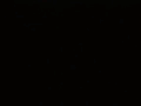 nicksplat doug GIF