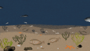 High Seas Ocean GIF by Blue Marine Foundation