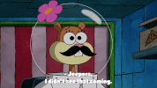 season 9 the fish bowl GIF by SpongeBob SquarePants